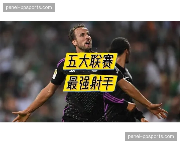 世界杯预选赛热潮带动欧洲多国业余联赛注册球员人数激增